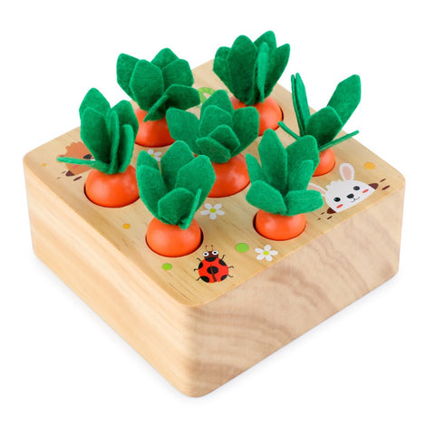 Wooden Carrot Sorter