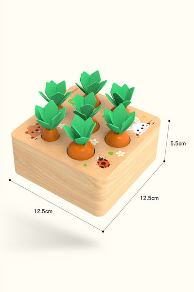 Wooden Carrot Sorter