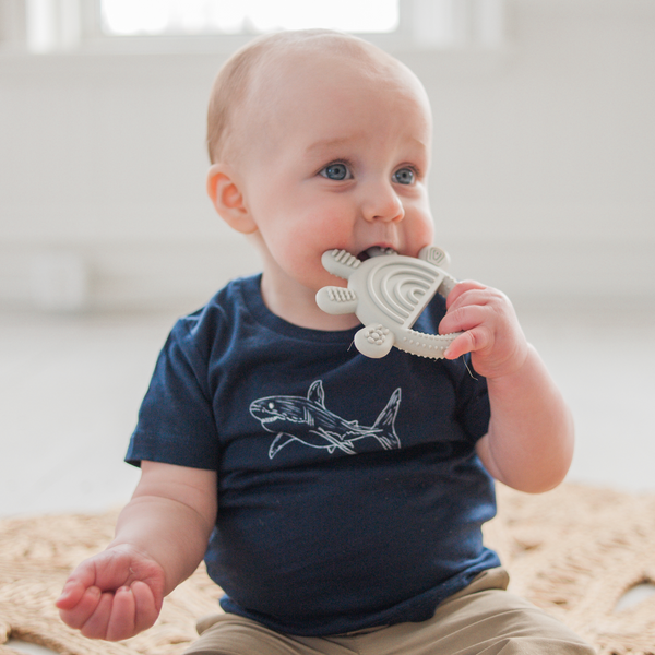 Sharky Organic Cotton Baby Tee