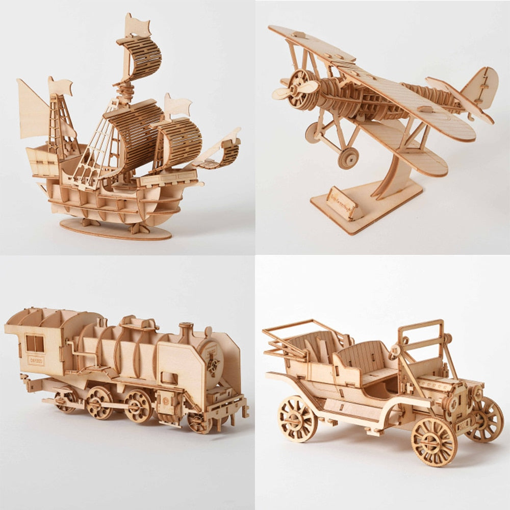 3D Wooden Puzzles