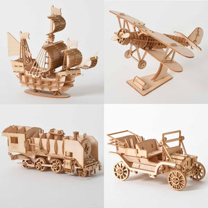 3D Wooden Puzzles