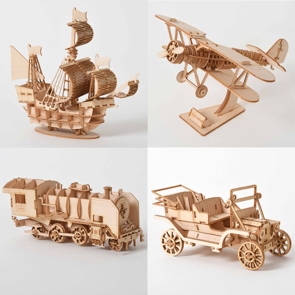3D Wooden Puzzles
