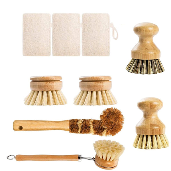 Eco Scrub Brush Bundle of Intention