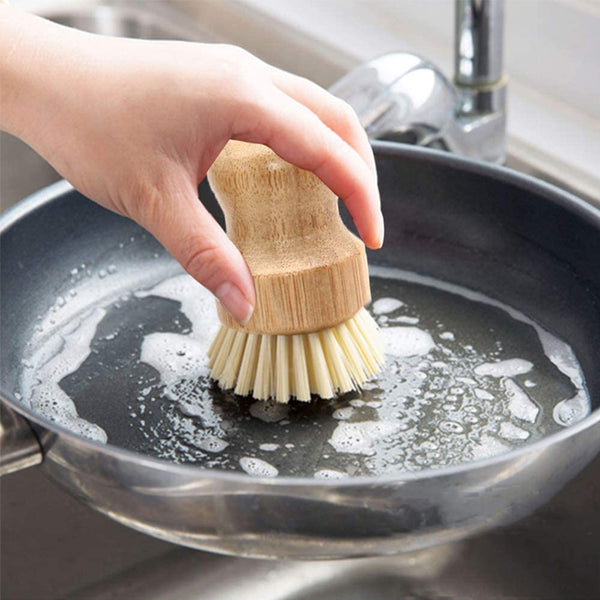 Eco Scrub Brush Bundle of Intention