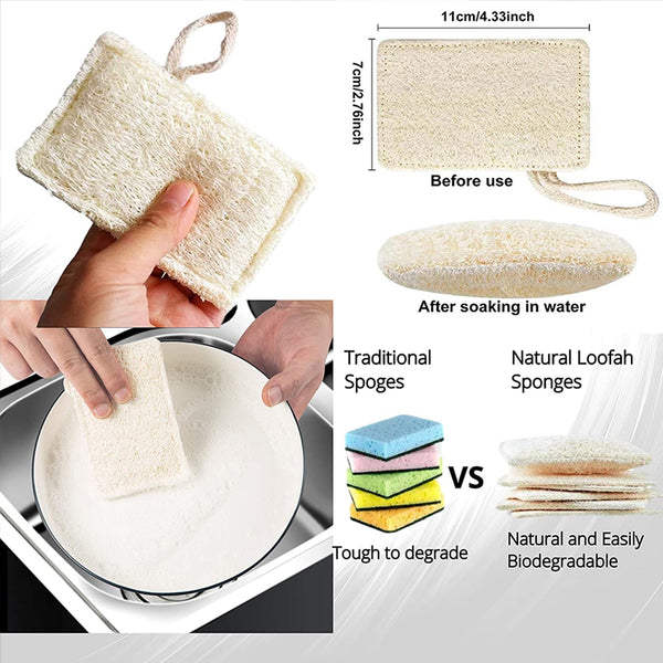 Eco Scrub Brush Bundle of Intention