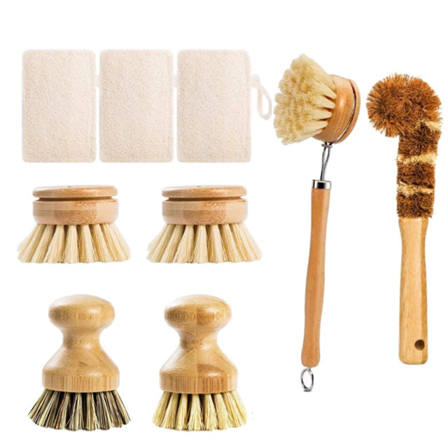 Eco Scrub Brush Bundle of Intention