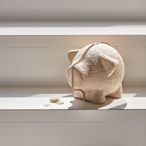 Eco Piggy Bank