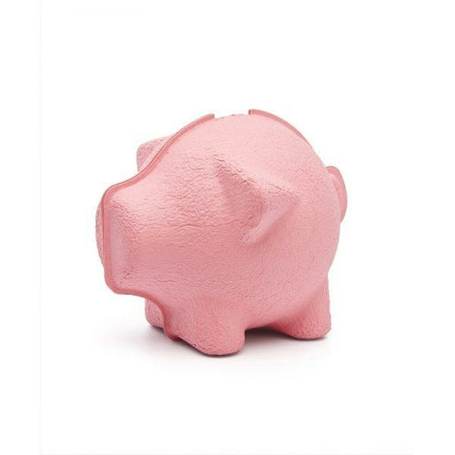 Eco Piggy Bank
