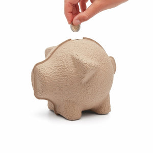 Eco Piggy Bank