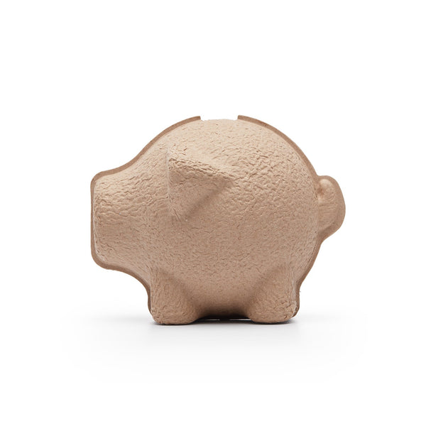 Eco Piggy Bank