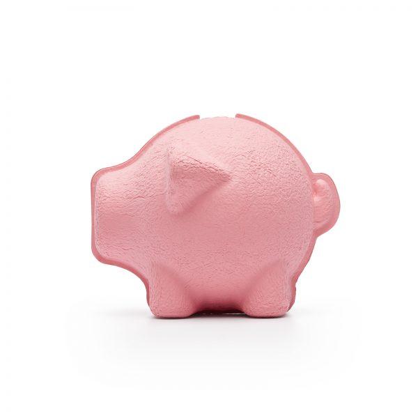 Eco Piggy Bank